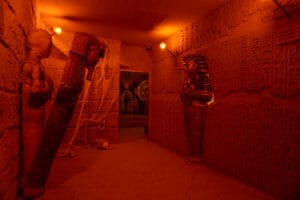 غرفة-الجيزة غرفة-الجيزة